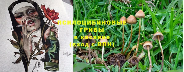 кокаин премиум Липки