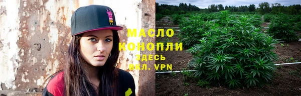 молекула духа Михайловск