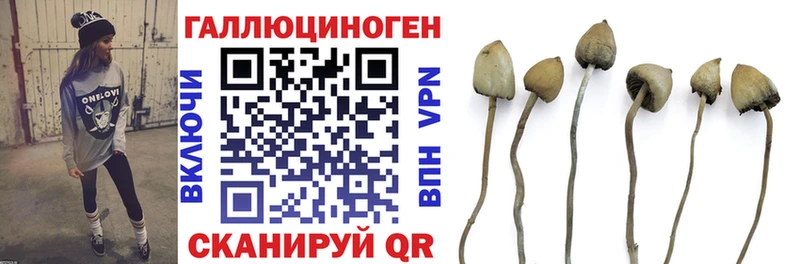 Псилоцибиновые грибы Psilocybine cubensis  дарнет шоп  Хвалынск 
